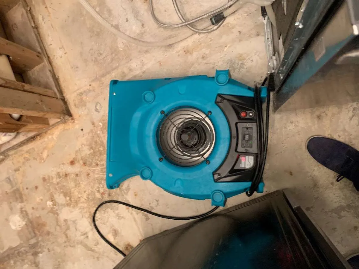 Air mover drying equipment for Mold Remediation & Removal in Mullica